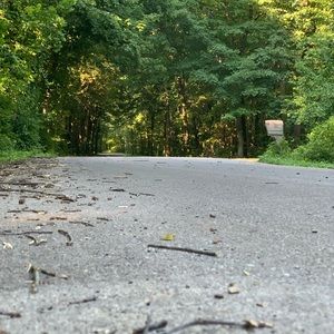 Meet your Posher, Trinady